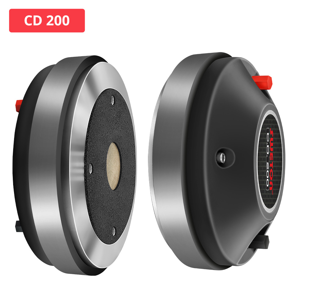CD 200