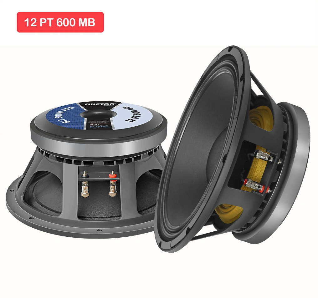 12 PT 600 MB