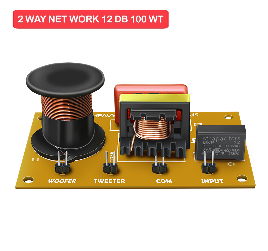 2 WAY NETWORK 12 dB 100 WT